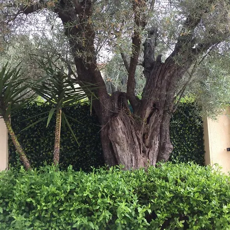 L'adret Et Sa Piscine Villa *